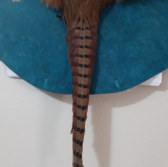 Pheasant   Decoration - Picture 3 of 4